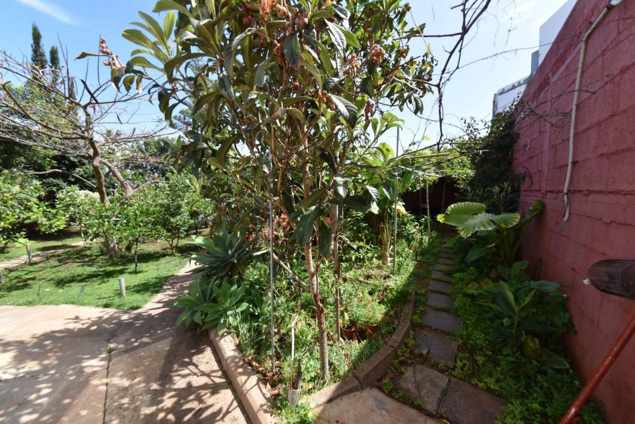 Casa El Tonelero Con Jardin Y Piscina Privada Βίλα Gáldar Εξωτερικό φωτογραφία