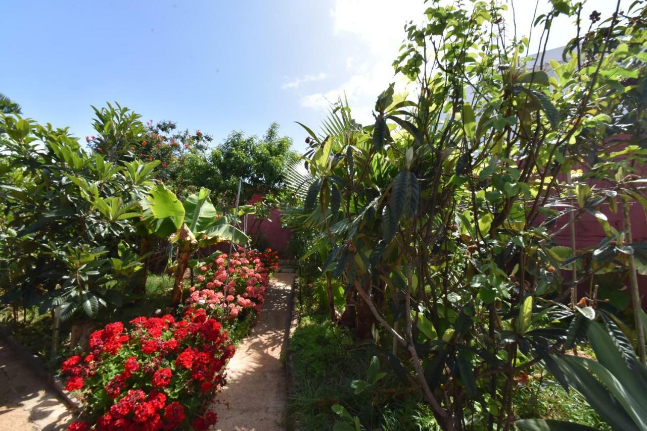 Casa El Tonelero Con Jardin Y Piscina Privada Βίλα Gáldar Εξωτερικό φωτογραφία